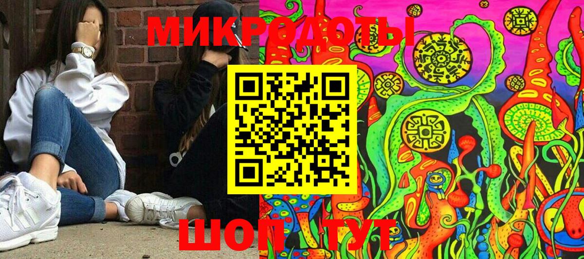 Галлюциногенные грибы Psilocybe Родники