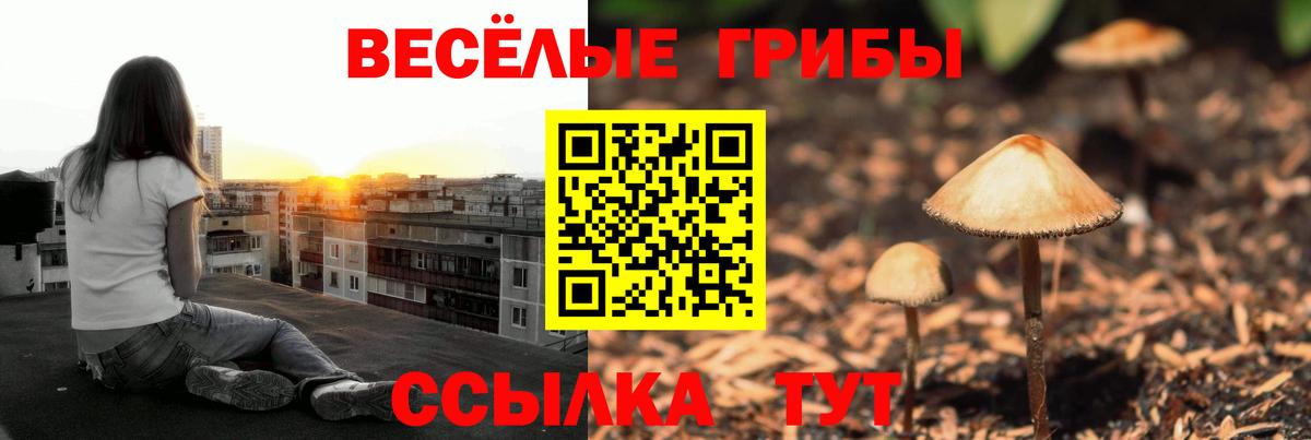 Галлюциногенные грибы Psilocybine cubensis  Вход с VPN  Родники 